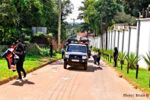 whatsapp image 2025 08 10 at 2.11.40 am