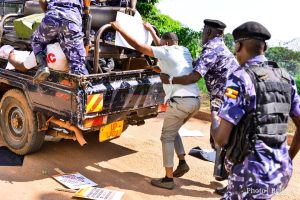 whatsapp image 2025 08 10 at 2.11.41 am