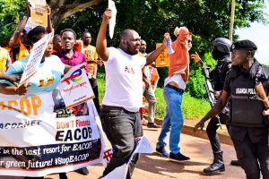 whatsapp image 2025 08 10 at 2.11.46 am (2)