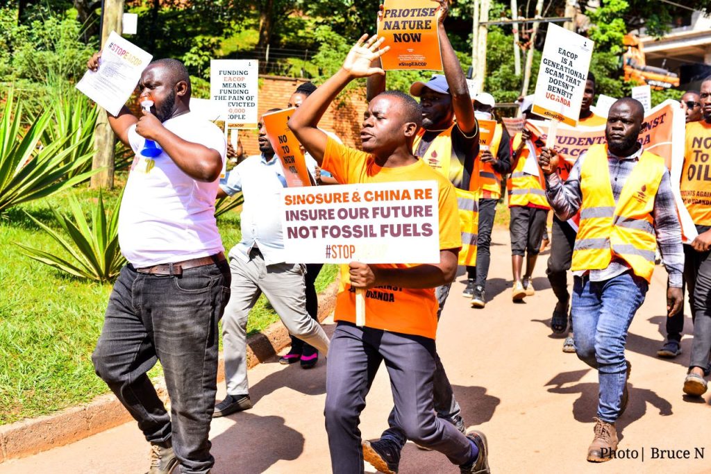 whatsapp image 2025 08 10 at 2.11.48 am (1)