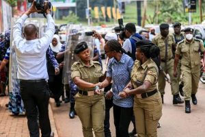 whatsapp image 2025 10 31 at 1.39.53 pm (1)