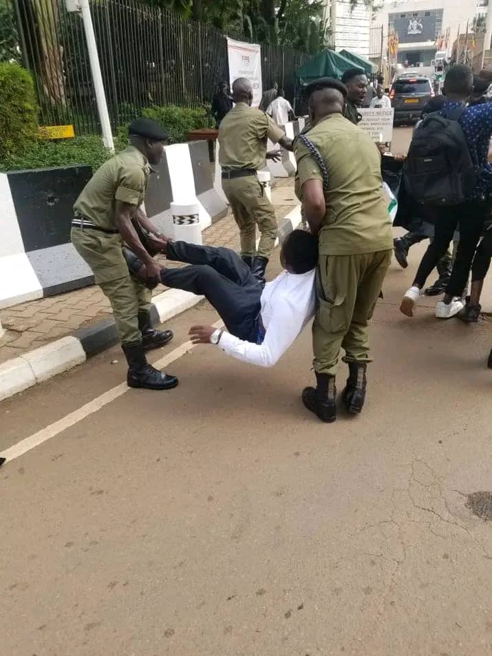 whatsapp image 2025 10 31 at 1.39.55 pm